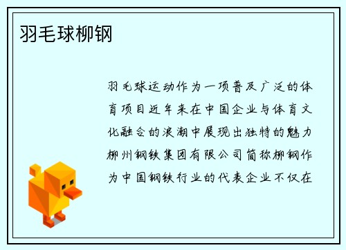 羽毛球柳钢
